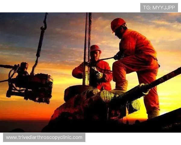 陪跑者的崛起与困境：从边缘角色到时代镜像的命运转折